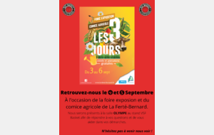 Le VSF Basket présent aux 3 jours !