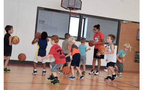 Reprise à l'école de basket