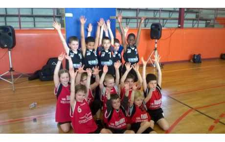 Retour sur le rassemblement mini de Mamers