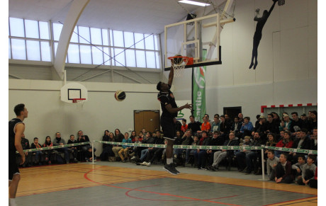 LA VENUE DU MSB